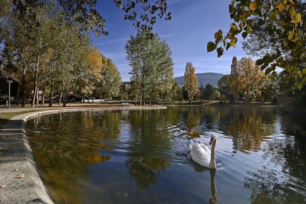 Ideal Parejas - Tranquilidad Y Naturaleza - Vistas Al Lago Osséja Eksteriør bilde