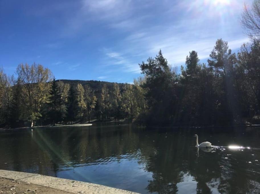 Ideal Parejas - Tranquilidad Y Naturaleza - Vistas Al Lago Osséja Eksteriør bilde
